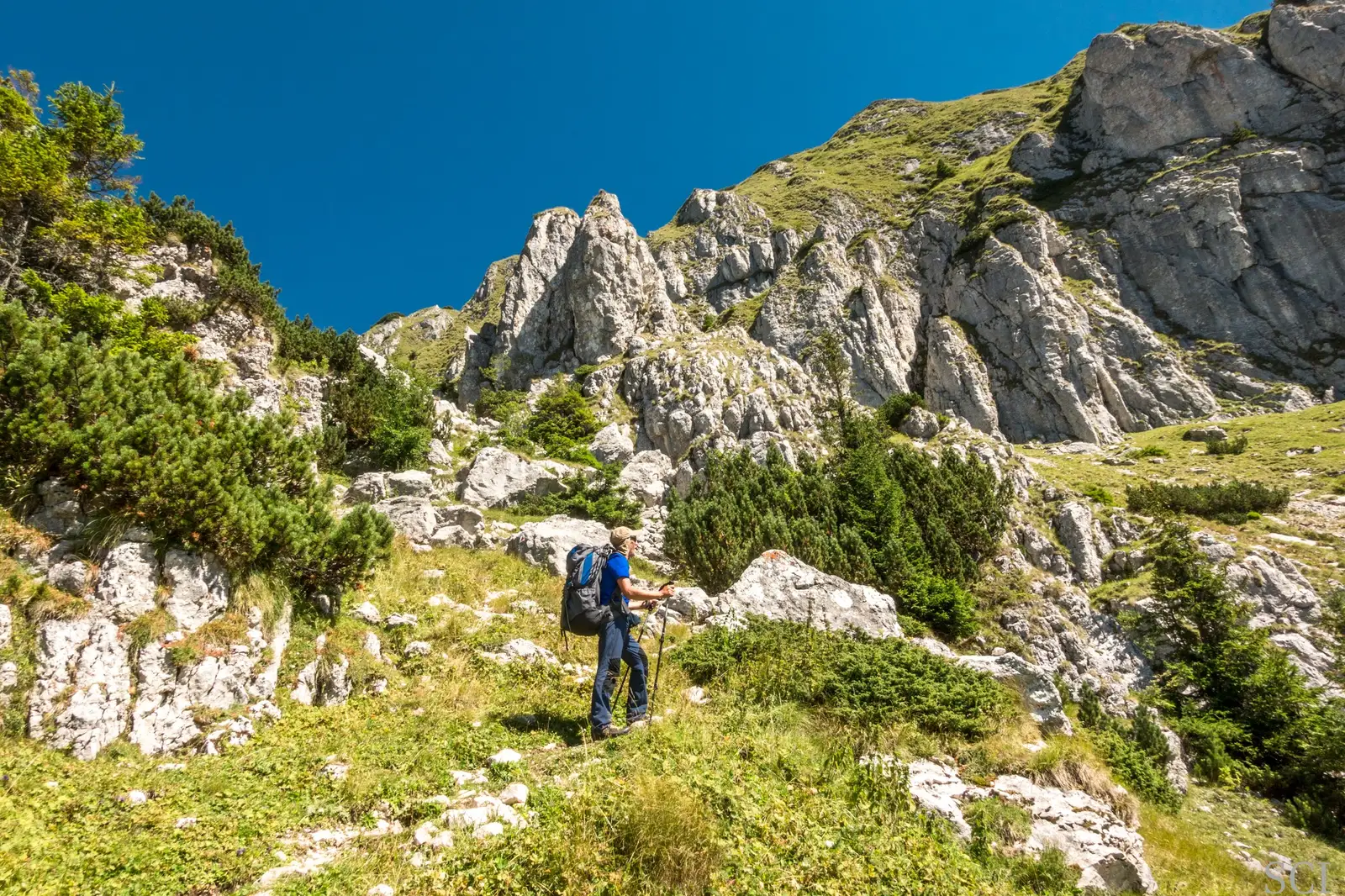  Urcare pe sub Muntele Gutanu - Csaba-Ilie Silvesan
