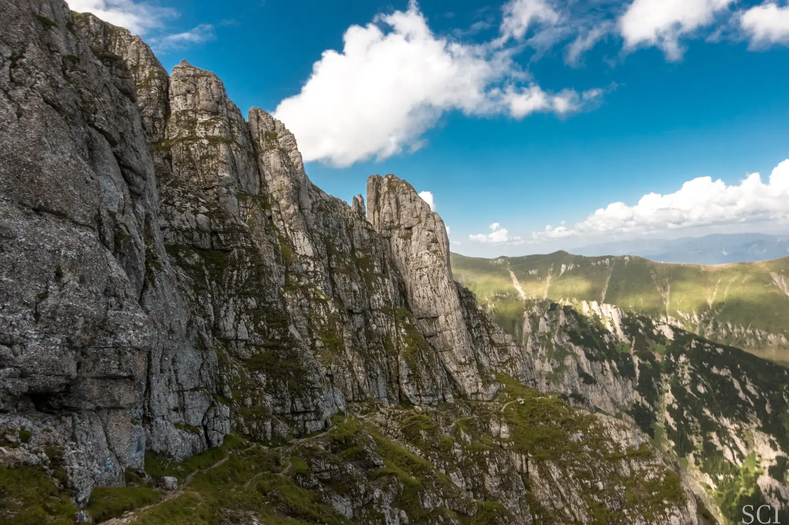  Brâna Caprelor - Csaba-Ilie Silvesan
