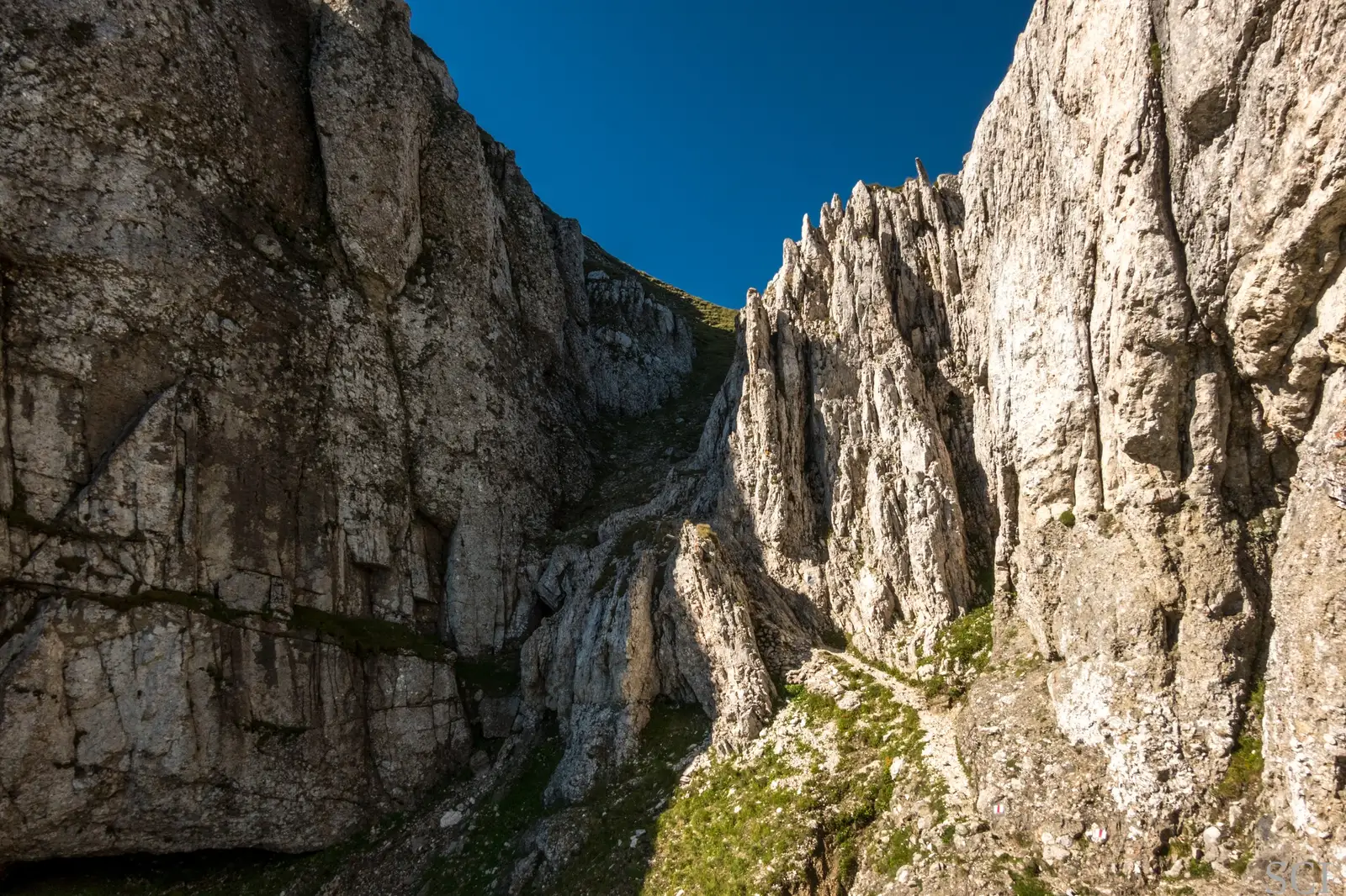  Hornul Țigănești - Csaba-Ilie Silvesan