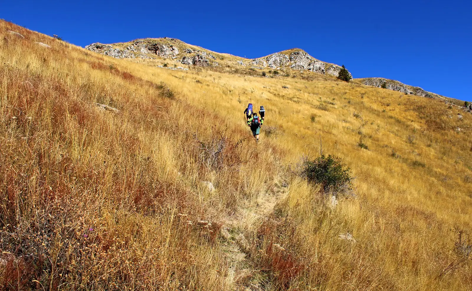  Urcarea dinspre Poiana Lungă spre Zascolul Arjanei - Sima Constantin