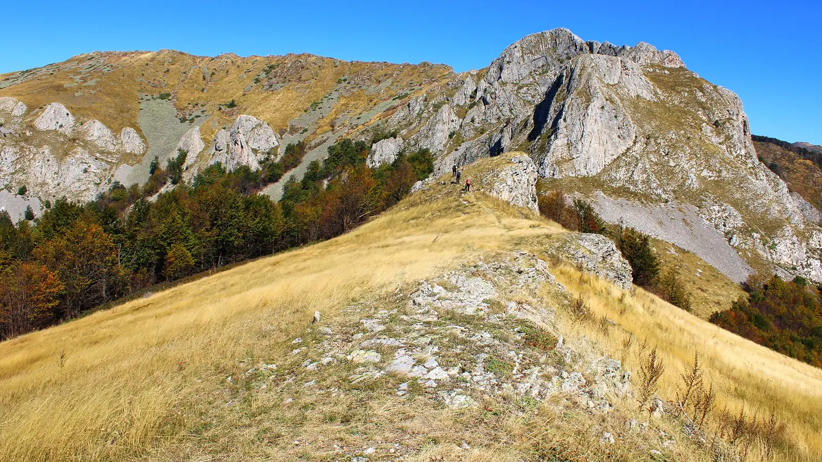  Vf. Biliana - Zascol - Arjana. - Sima Constantin