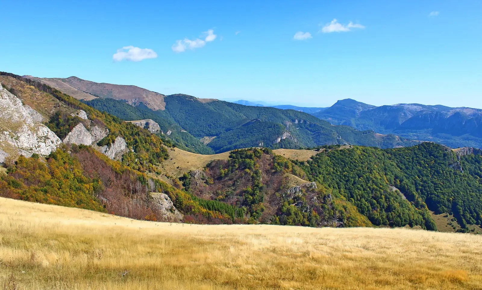  Vedere spre Poiana Piatra Corbului, pe fundal Vârful lui Stan.- Sima Constantin