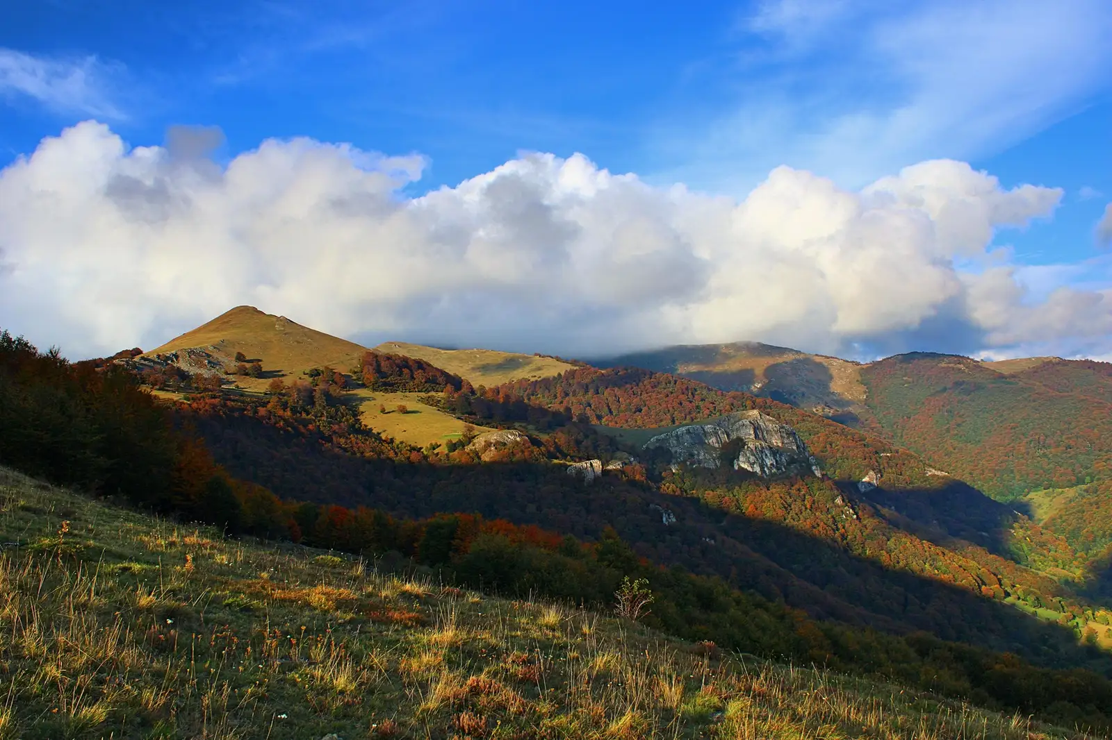  Vârful Cuşmiţa 1454m.. - Sima Constantin
