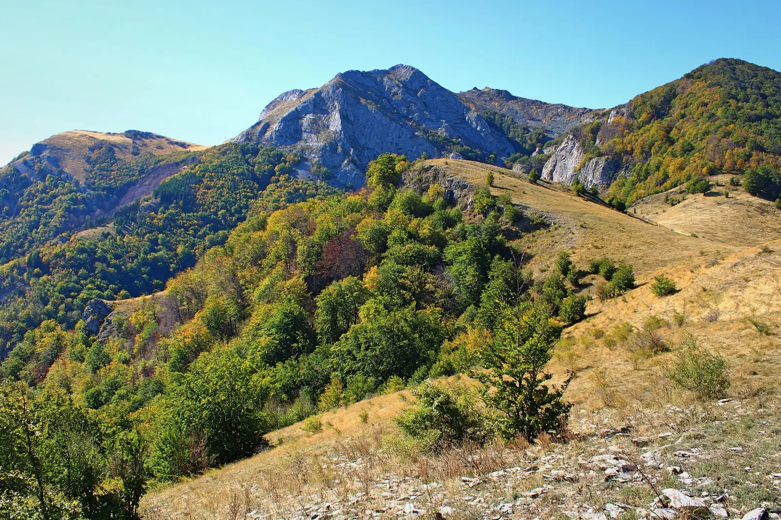  Vf. Biliana, Zascol, Arjana, Şaua Prislop - vedere din Poiana Piatra Corbului. - Sima Constantin