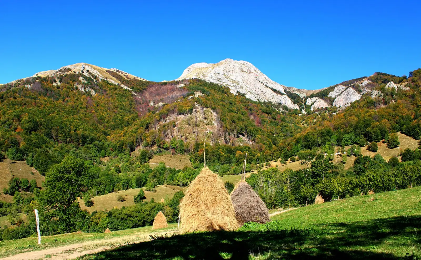  Vf. Biliana şi Zascol, Şaua Prislop., munţii Cernei. - Sima Constantin