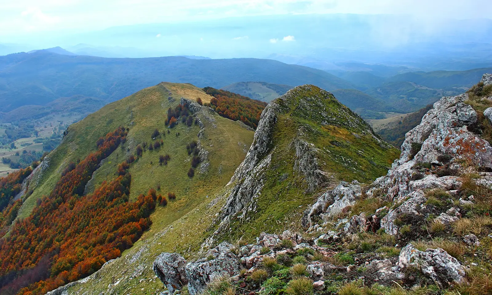  Vf. Biliana - Sima Constantin