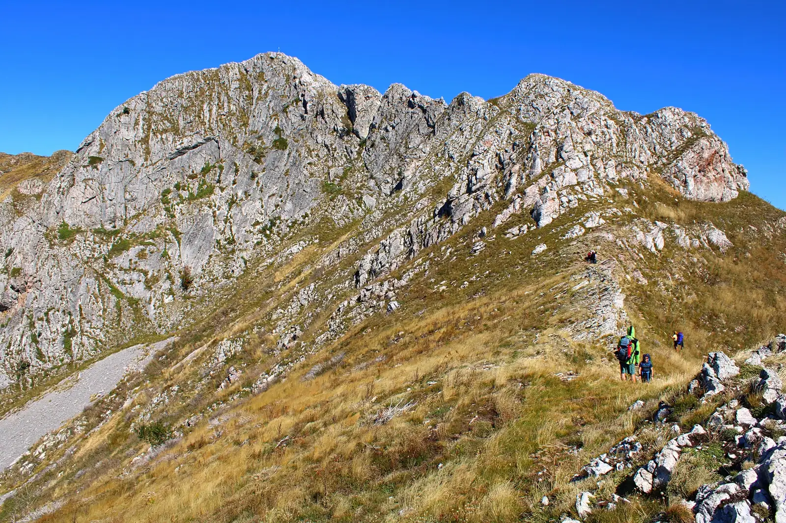  Vf. Biliana și Zascoul Arjaneil - Sima Constantin