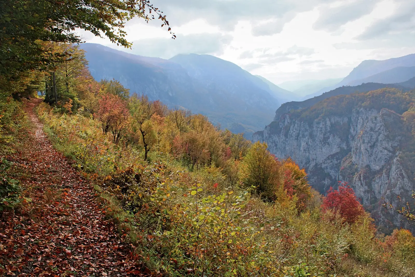  Deasupra de Cheile Prisăcinei - Sima Constantin