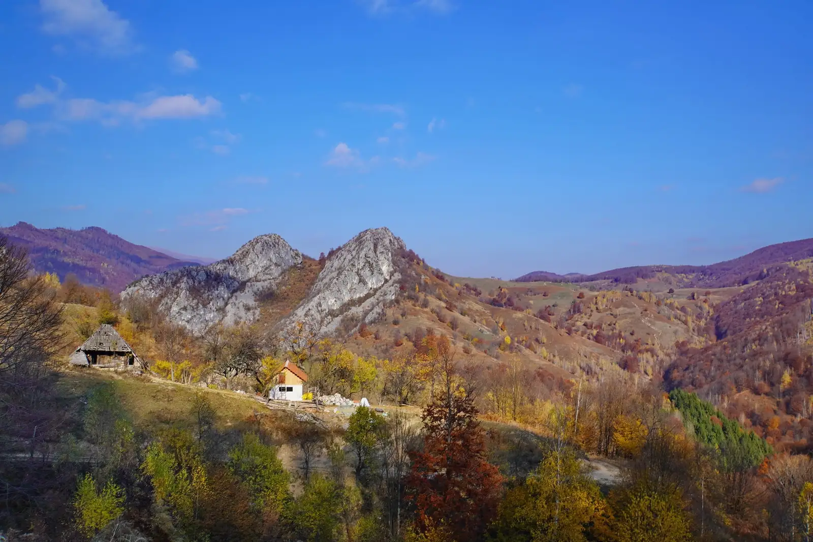  Geanțurile Cernei - Adrian Vintilă