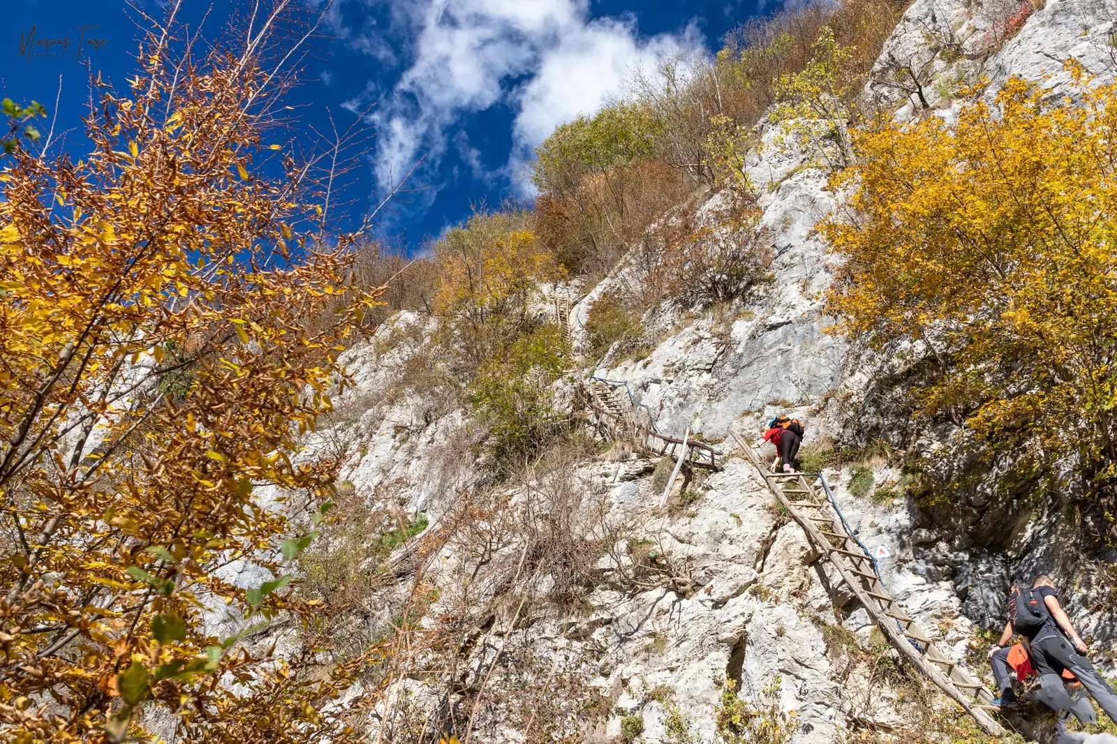  Pe scările Ineleț - Marius Turc