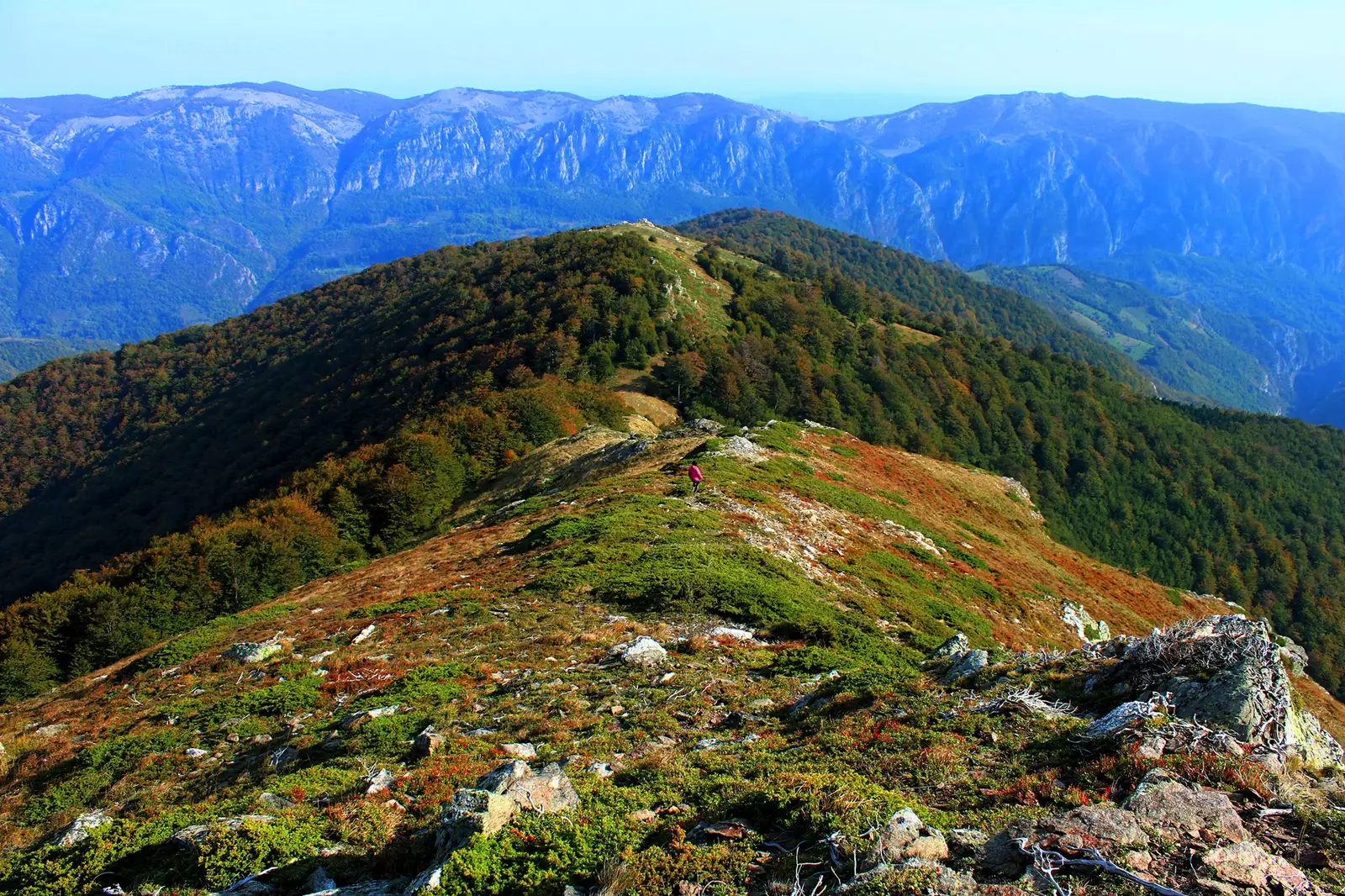  Spre Culmea Vlaşcu, cu munții Mehedinți pe fundal - Sima Constantin