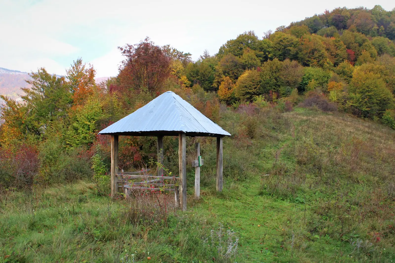  Troița de pe deal, cătun Cracu Mare - Sima Constantin