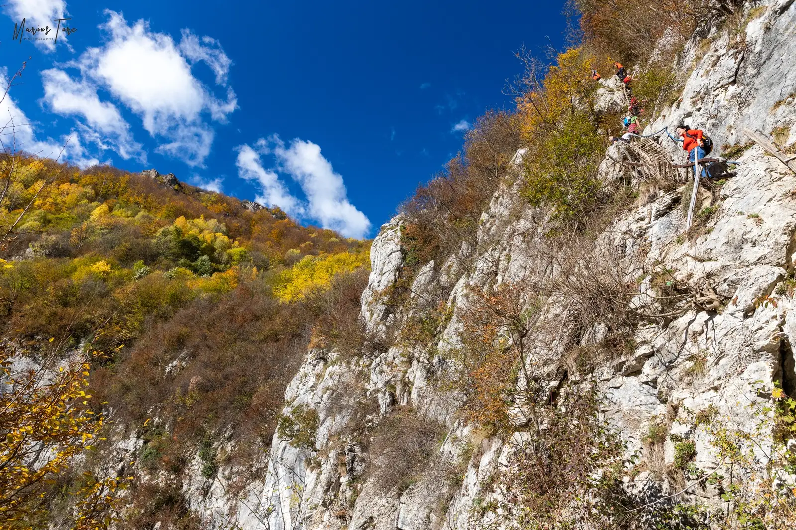  Ultimul tronson, scările Ineleț - Marius Turc