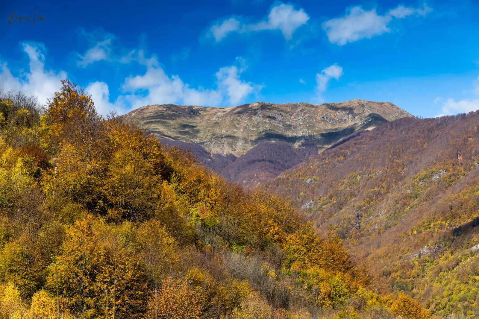  Zglivăr şi Vlaşcu Mic - Marius Turc