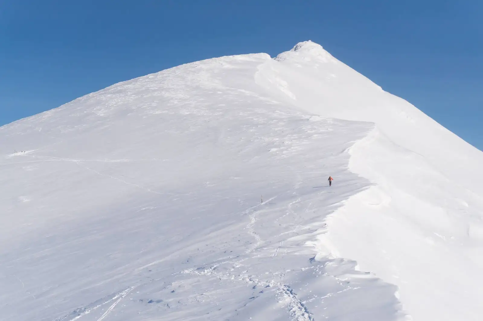  Pe marginea unui cornișe, sub Ineu - Alina Cîrja - CAR Cluj