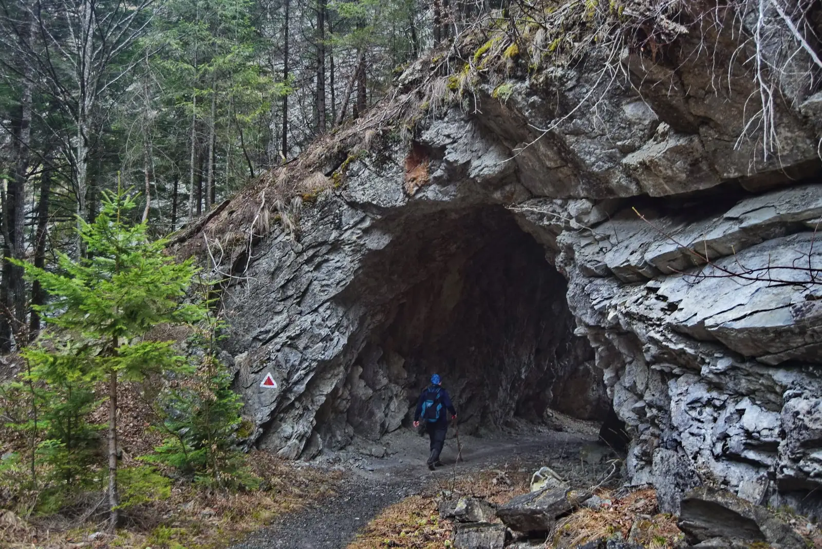 Arcadă săpată în piatră, Cheile Tișiței - Andrei Raftopol
