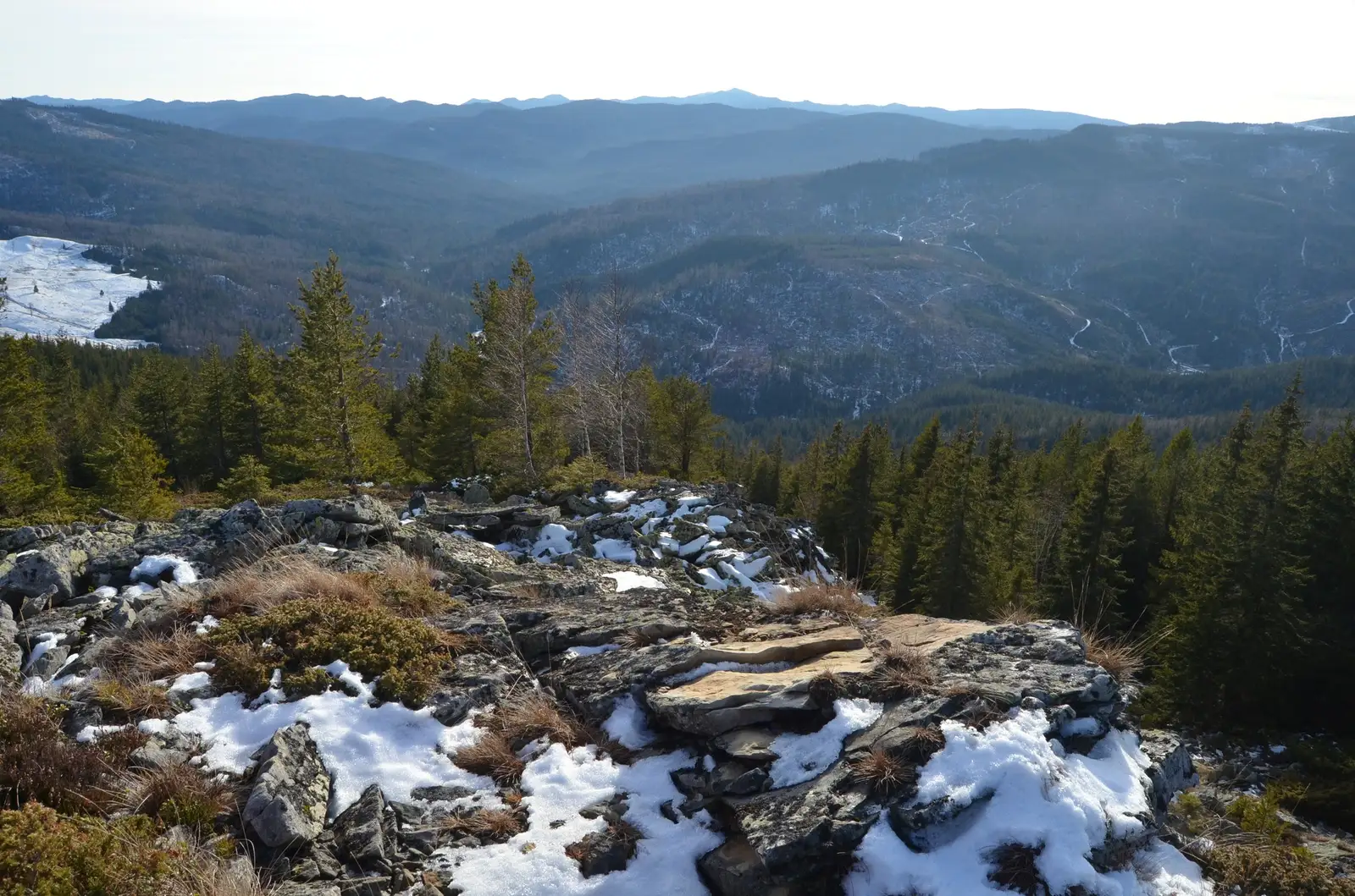  Vf. cu Lespezi spre muntii Penteleu, Musa Mare, muntii Furu  - Andrei Raftopol