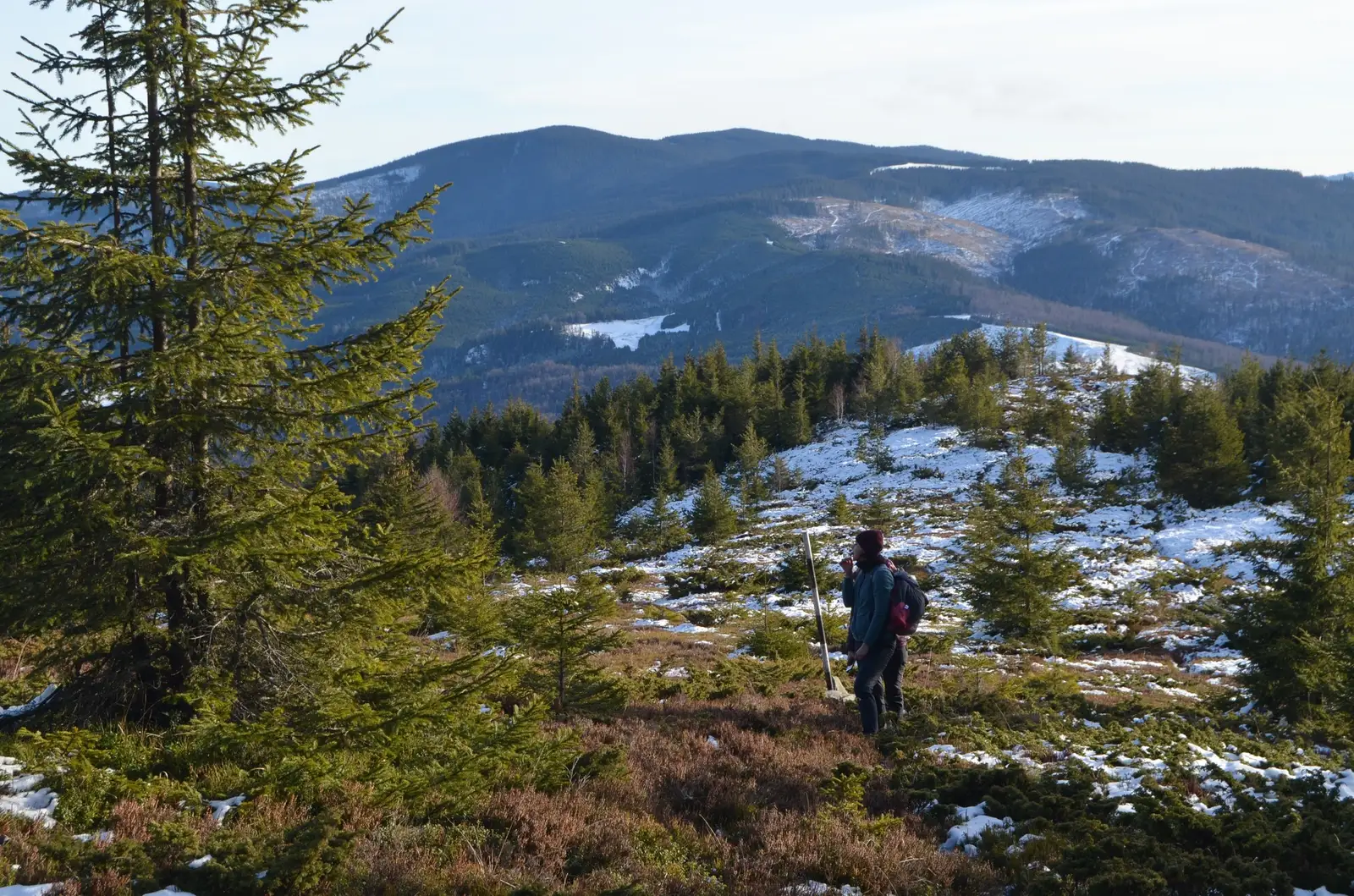 Plaiul Pietrosului spre vf. Casaria - vf. Zboina Frumoasa  - Andrei Raftopol