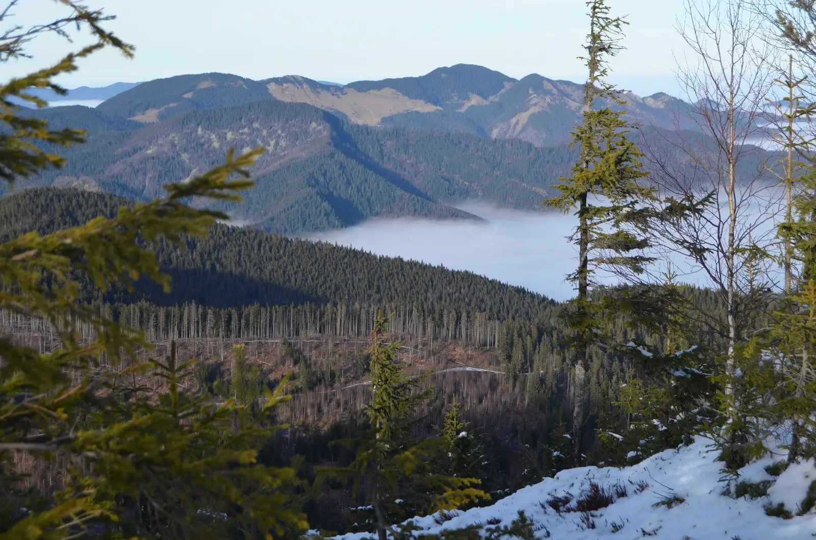  Vedere spre Muntele Coza - Andrei Raftopol