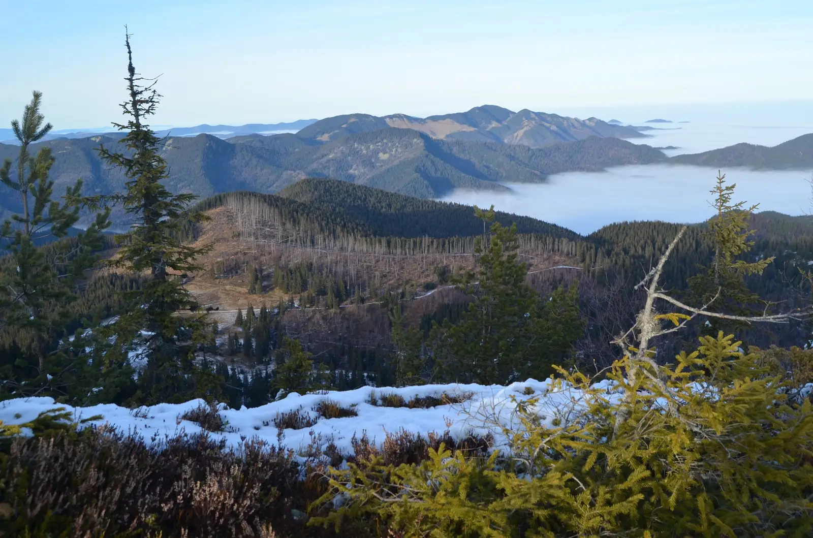  Coza vazut de pe Pietrosu - Andrei Raftopol