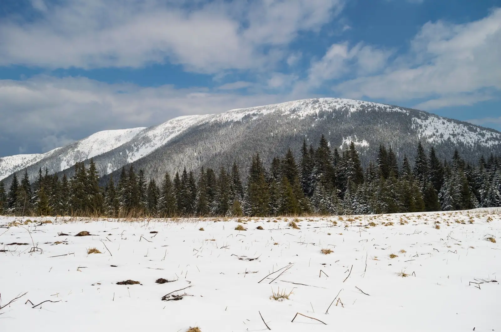  Muntele Goru văzut de pe culmea Dobroslavul - Andrei Pahomi