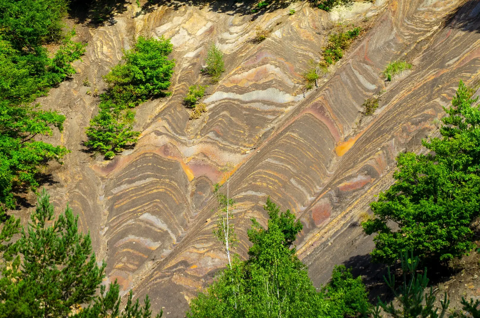  Strâmtura Cozei - Calistrat Jr Hogash