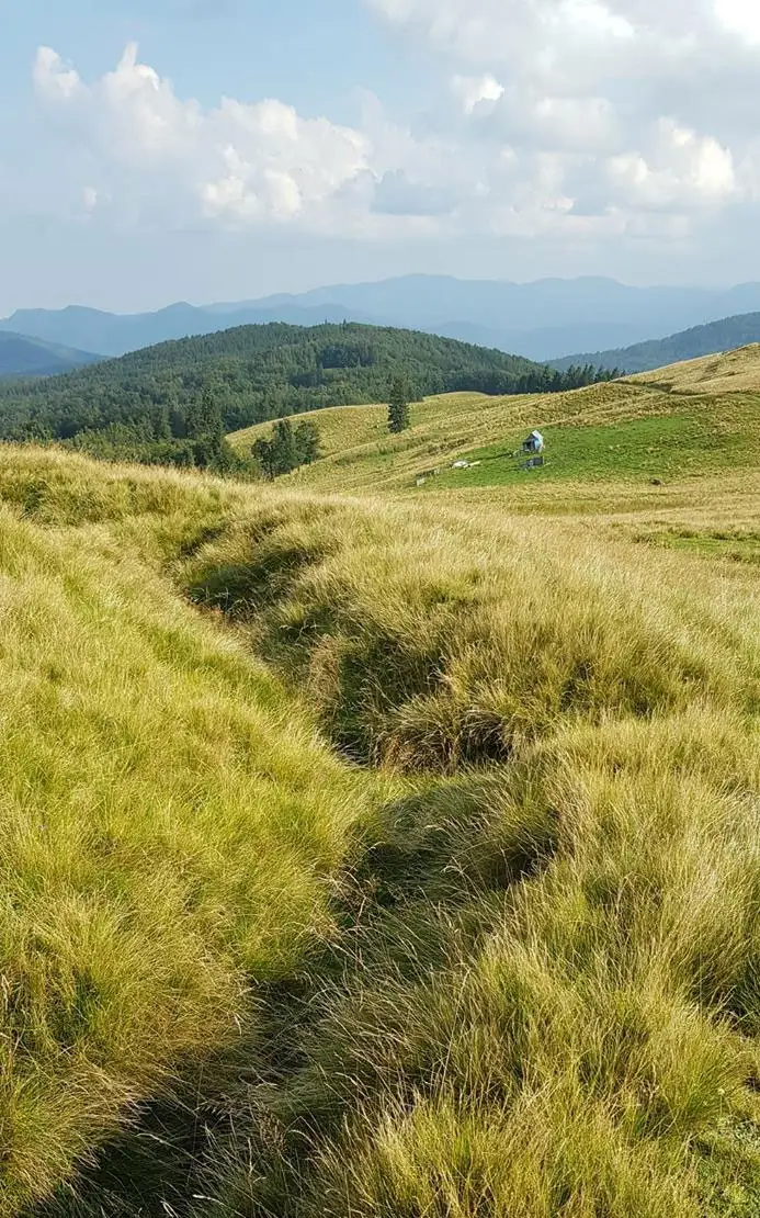  Tranșee din Primul Razboi Mondial, Golul Lepsei - Facebook Munții Vrancei
