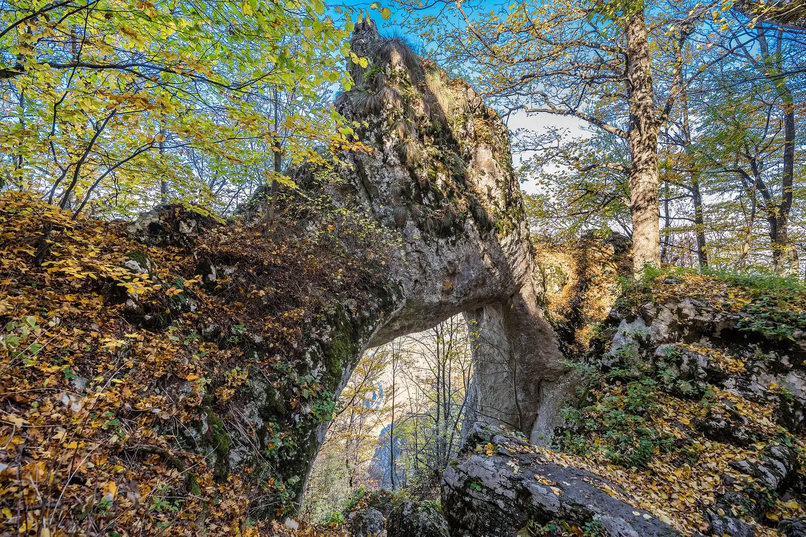  Arcada Poarta Zmeilor, Bedeleu - Morar Daniel