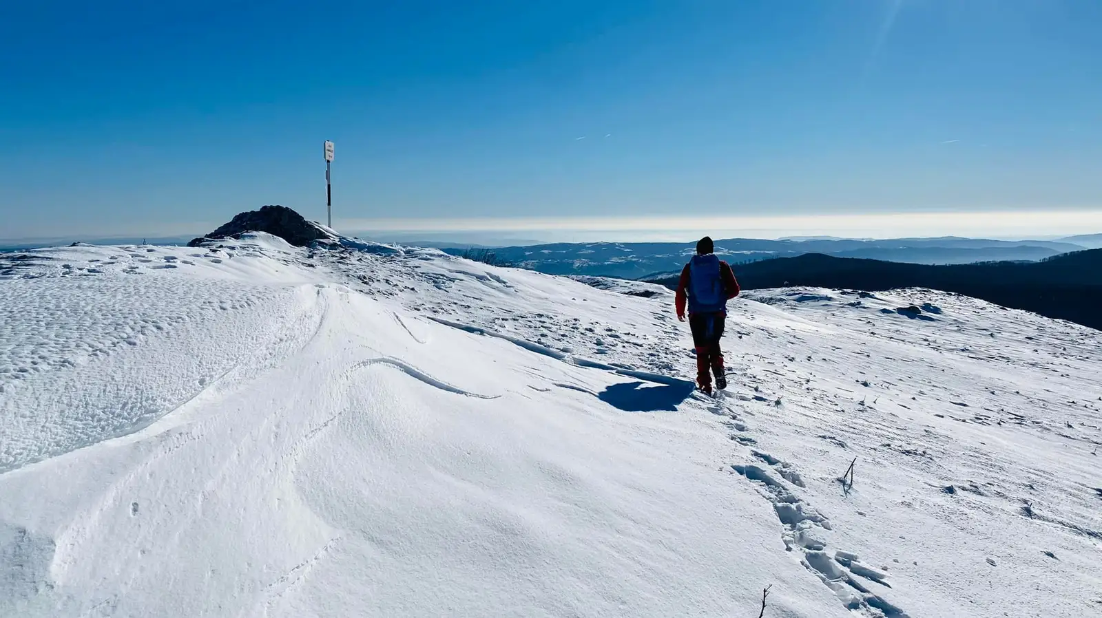  Aproape de Vf. Domogledul Mare (1105 m) - Cosmin Birău