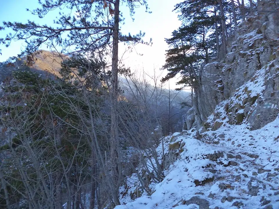  Poteca expusă spre Crucea Albă, Domogled - Cosmin Birău