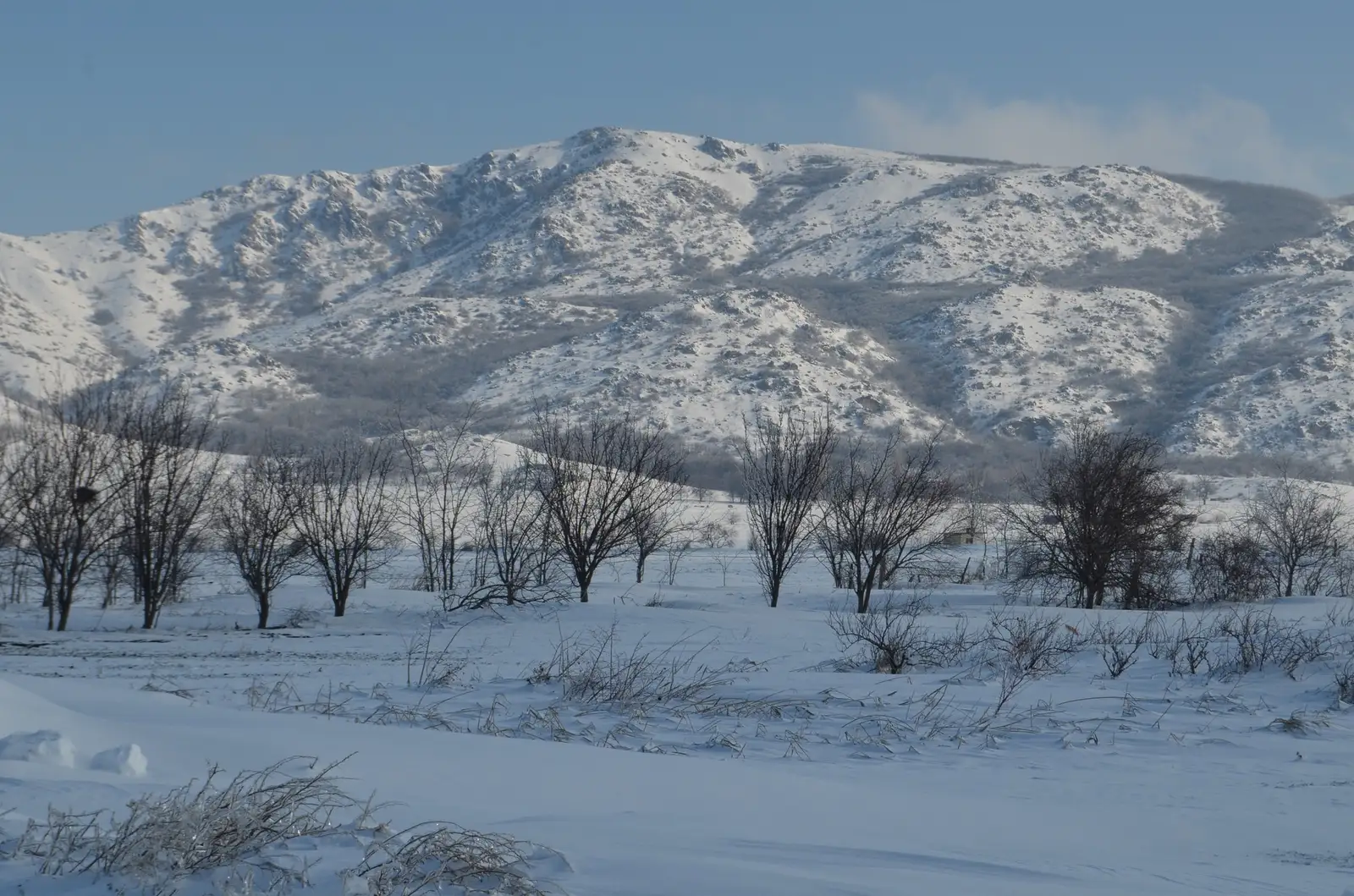  vedere spre Suluku Mare - Andrei Raftopol