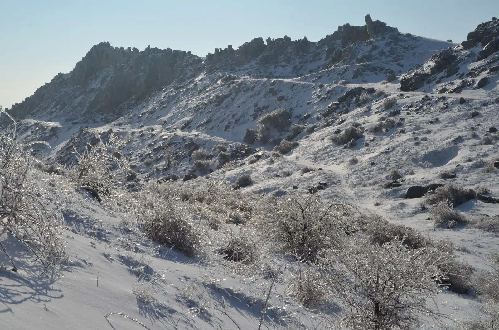  custură granitică din Culmea Pricopanului - Andrei Raftopol