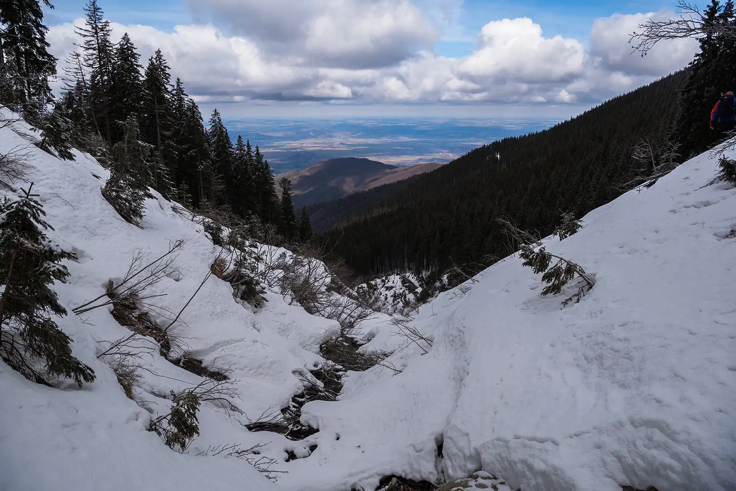 Munții Făgărașului