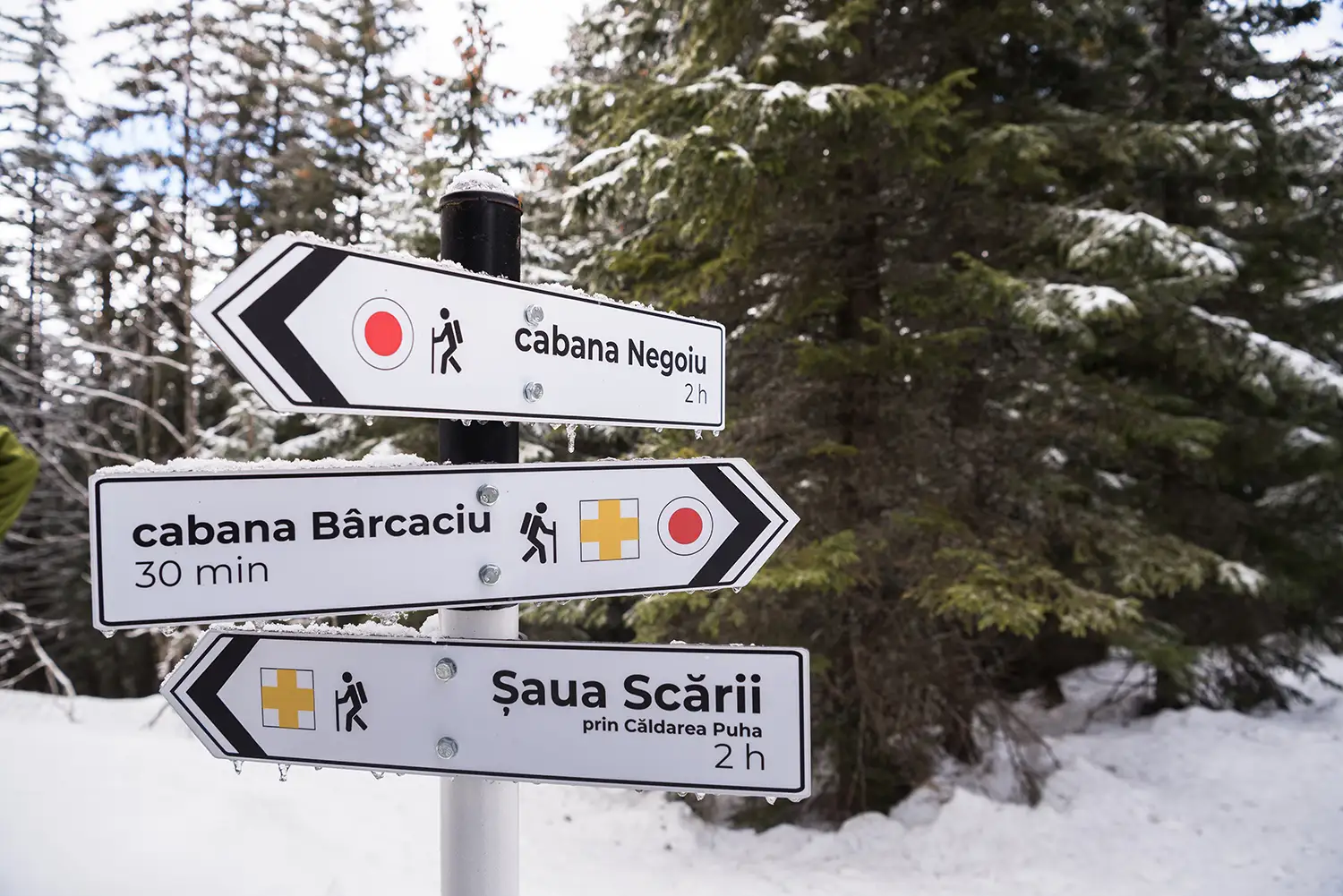 Munții Făgărașului