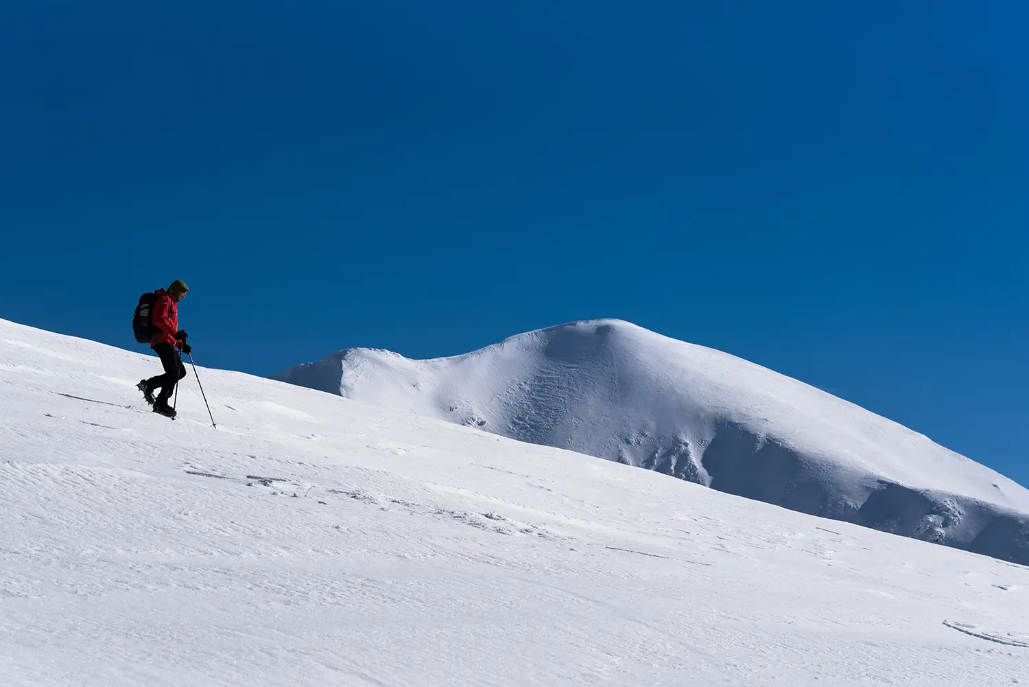 Munții Făgărașului
