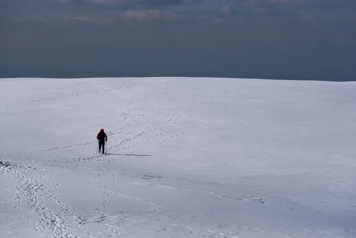 Munții Făgărașului
