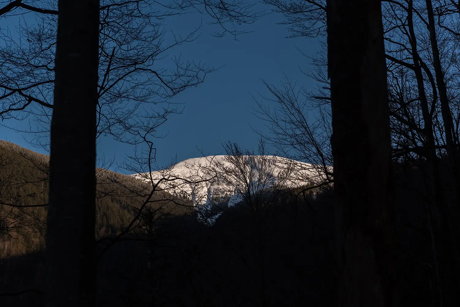 Munții Făgărașului