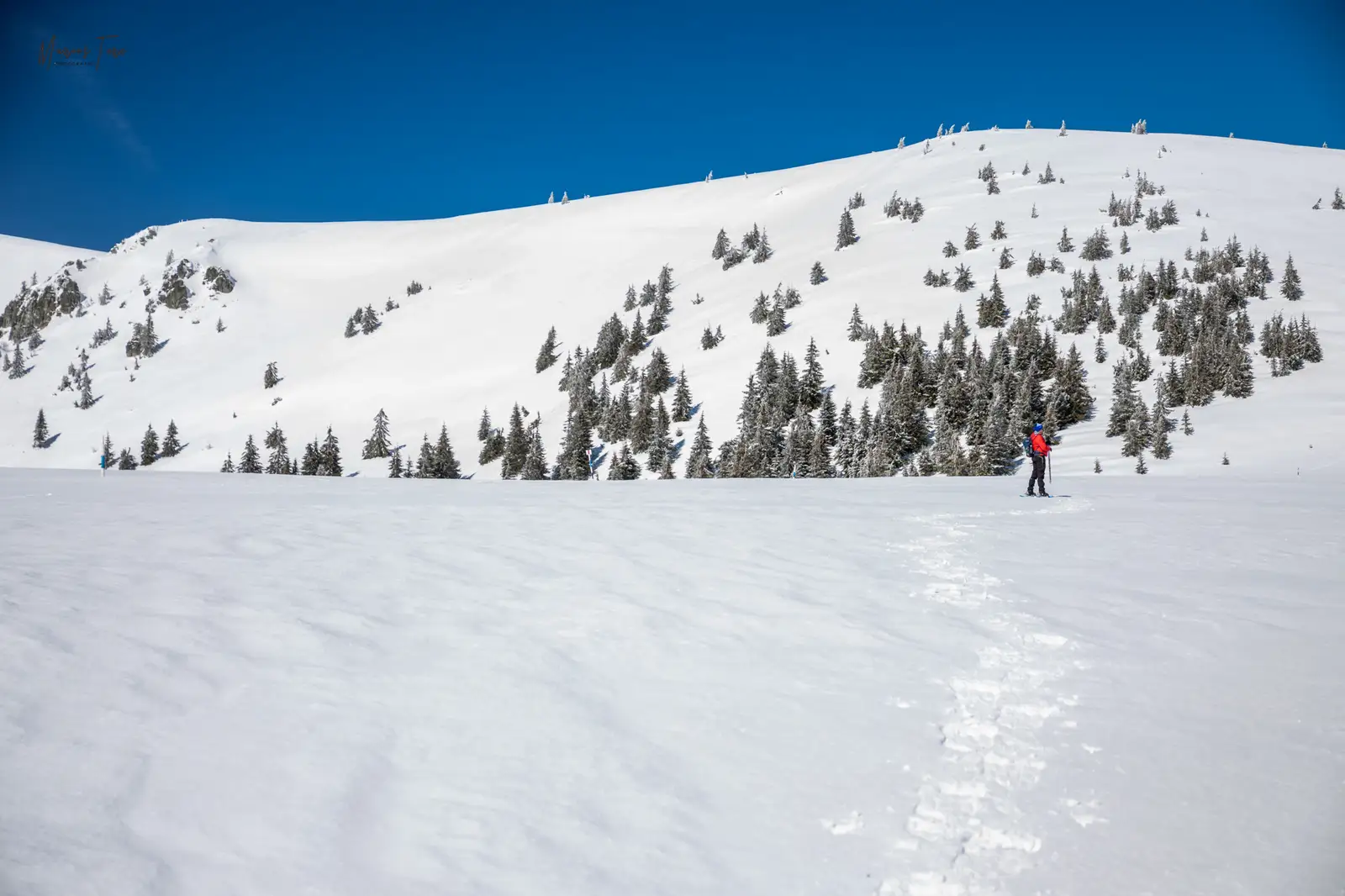  Aproape de Culmea Cârligate - Cornu Munților - Marius Turc