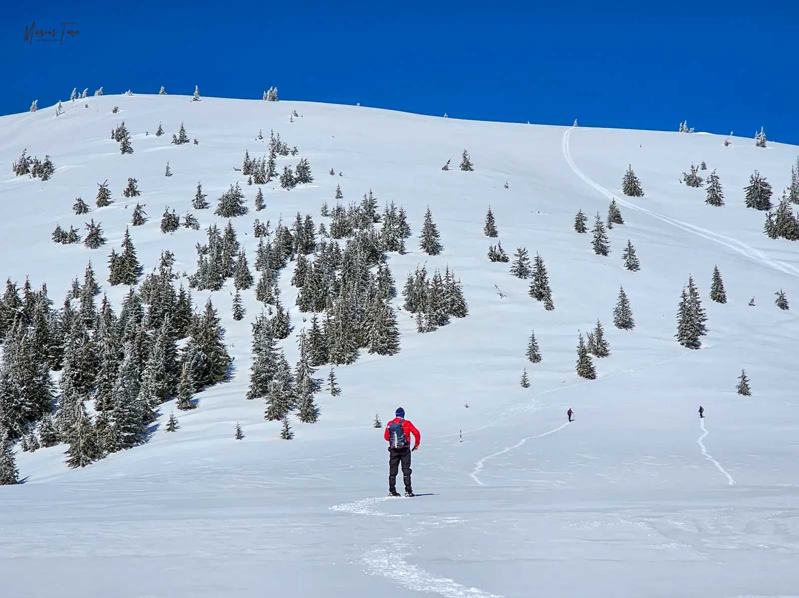  Urcarea spre Șaua Cumpănățelu - Marius Turc