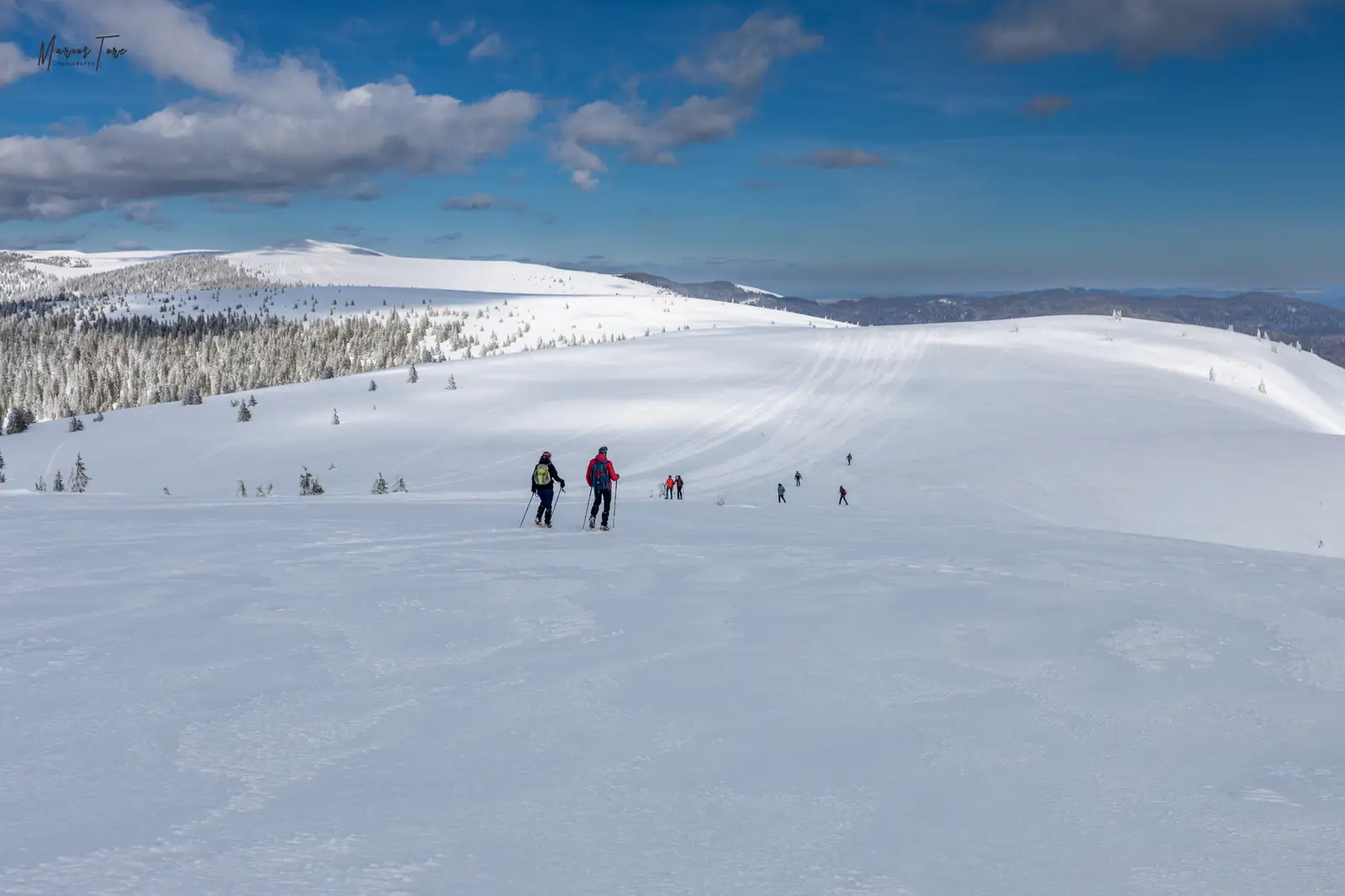  Pe platou, sus in culmea Cârligate, munții Vlădeasa - Marius Turc