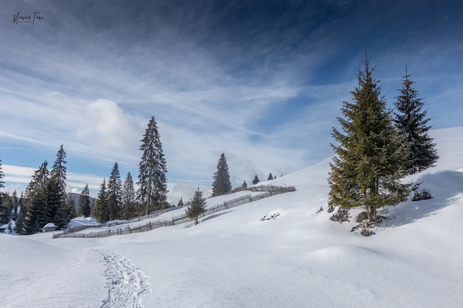 Grajduri de animale spre Culmea Cârligate - Marius Turc