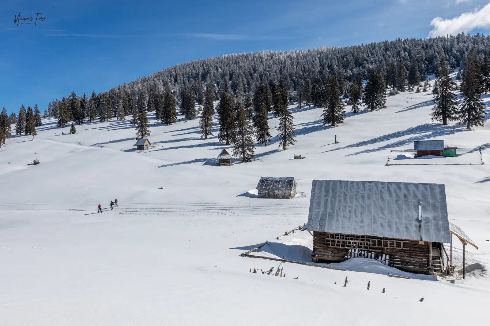  Sălașe de vară în poiana de sub Vârful Piatra Arsă, munții Vlădeasa - Marius Turc