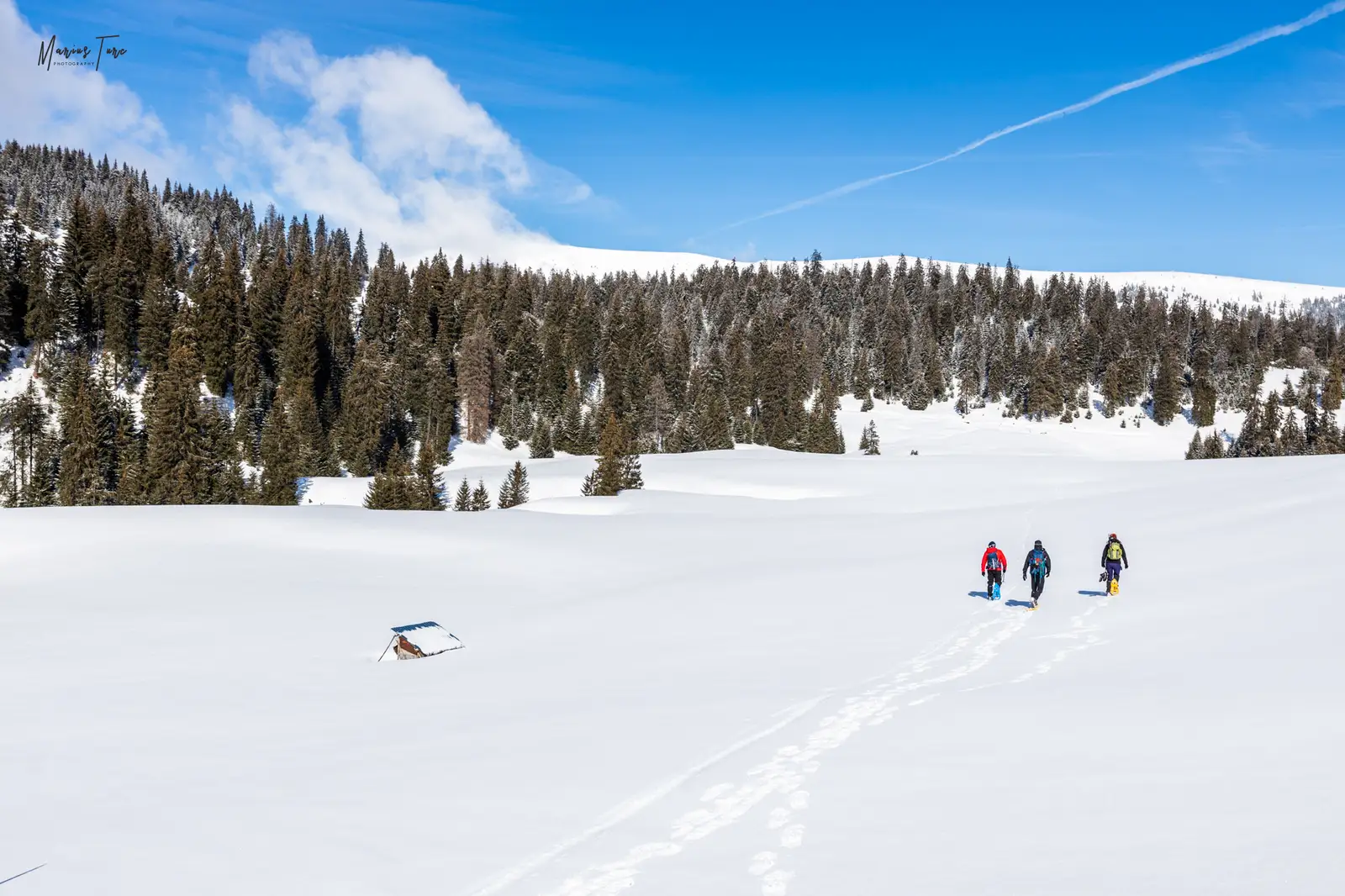  Continuăm urcarea pe rachete spre Șaua Cumpănățelu - Marius Turc