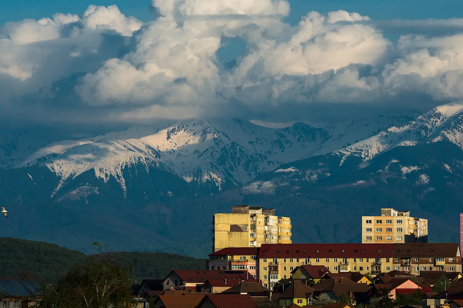Munții Făgărașului