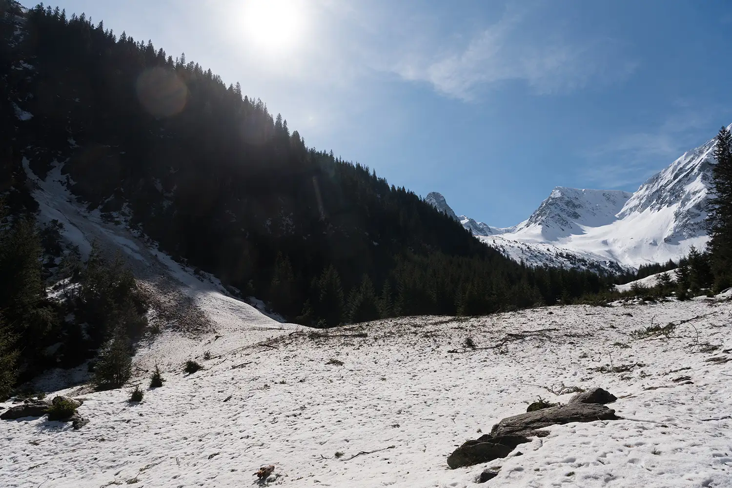 Munții Făgărașului