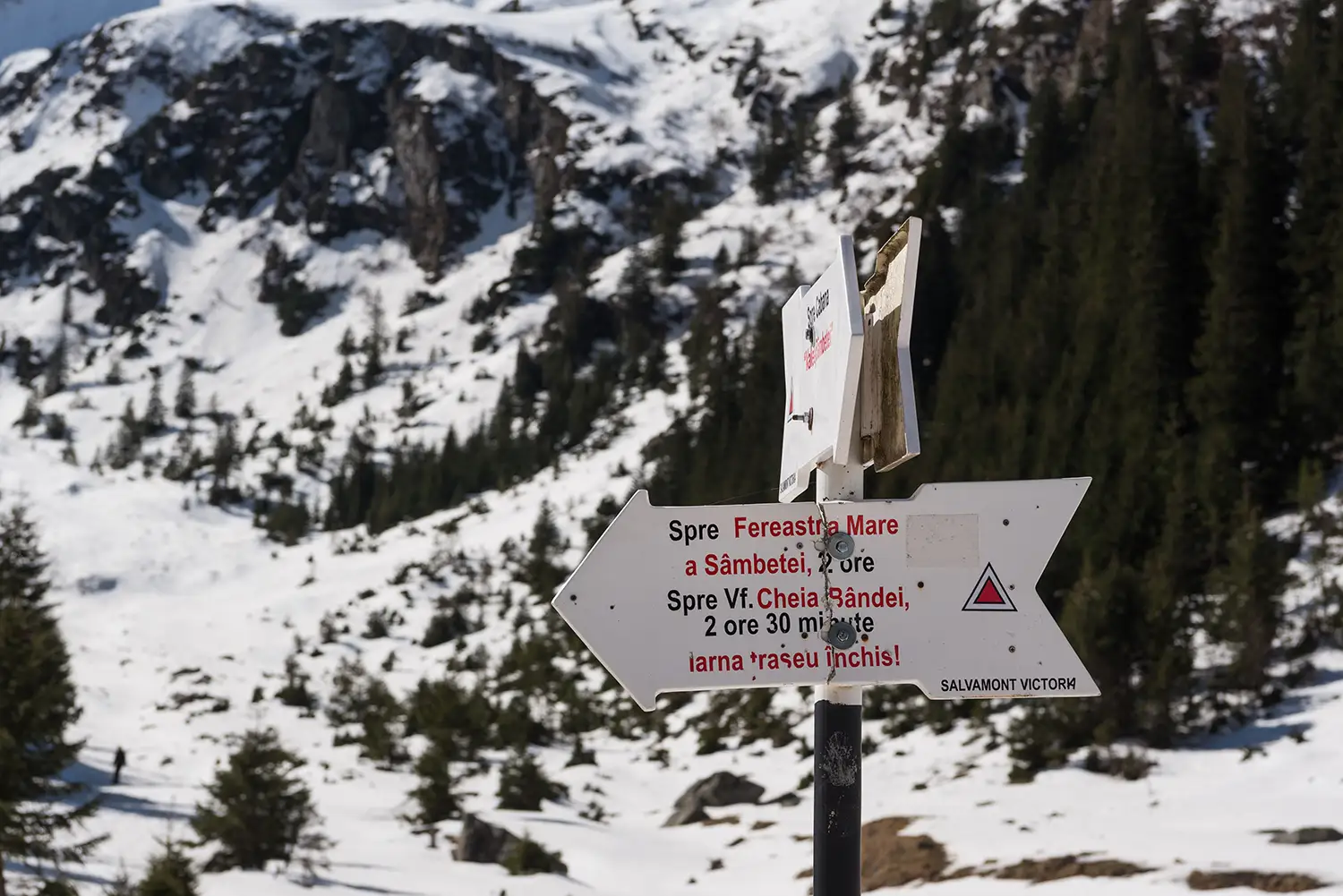 Munții Făgărașului