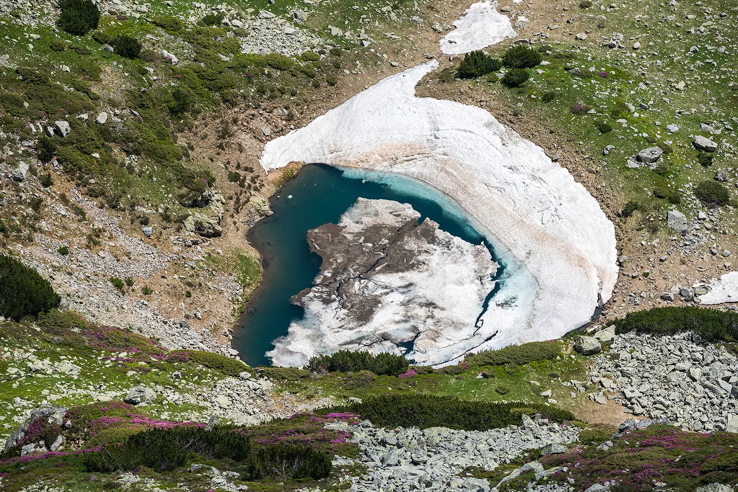 Carpații Meridionali
