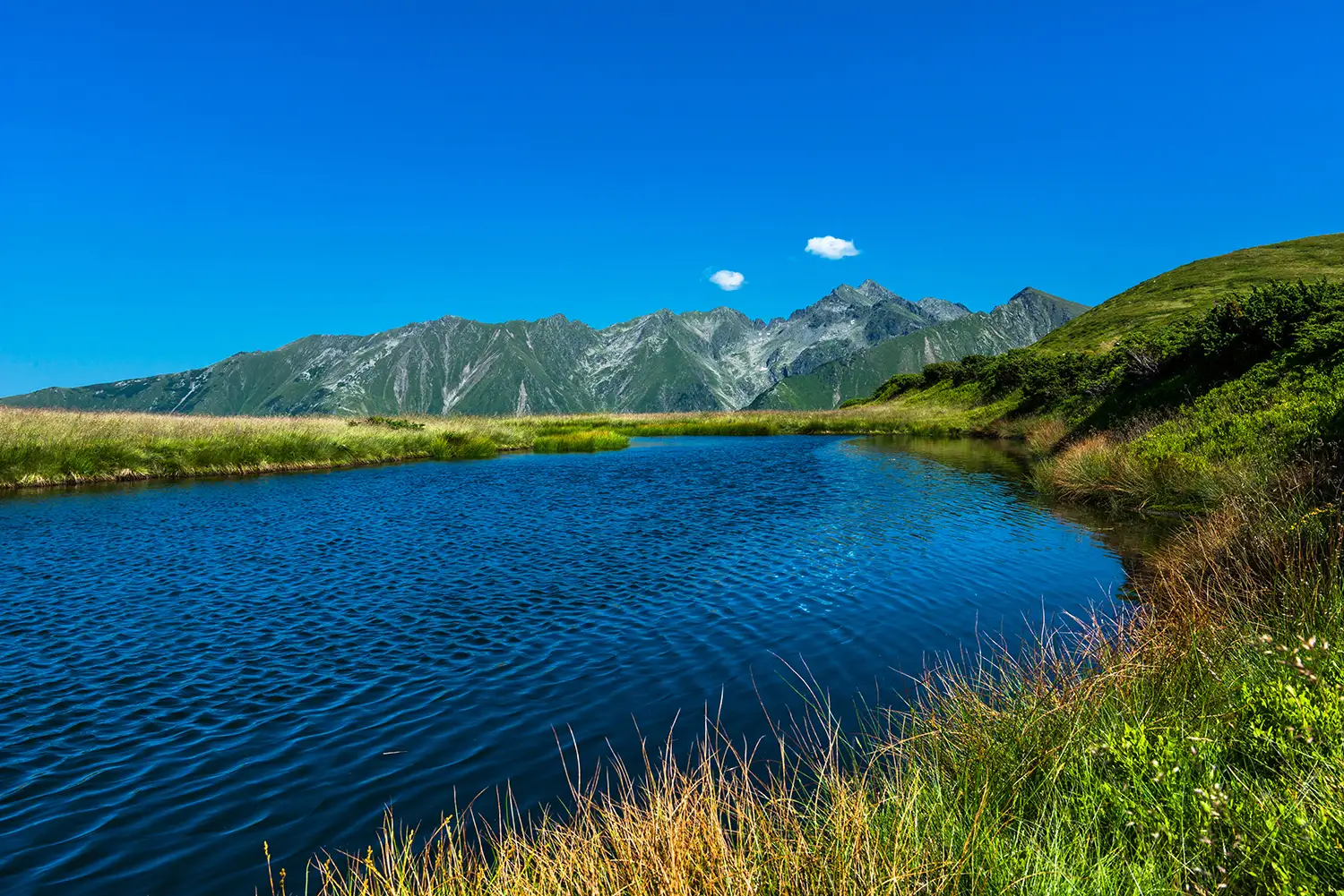 Carpații Meridionali