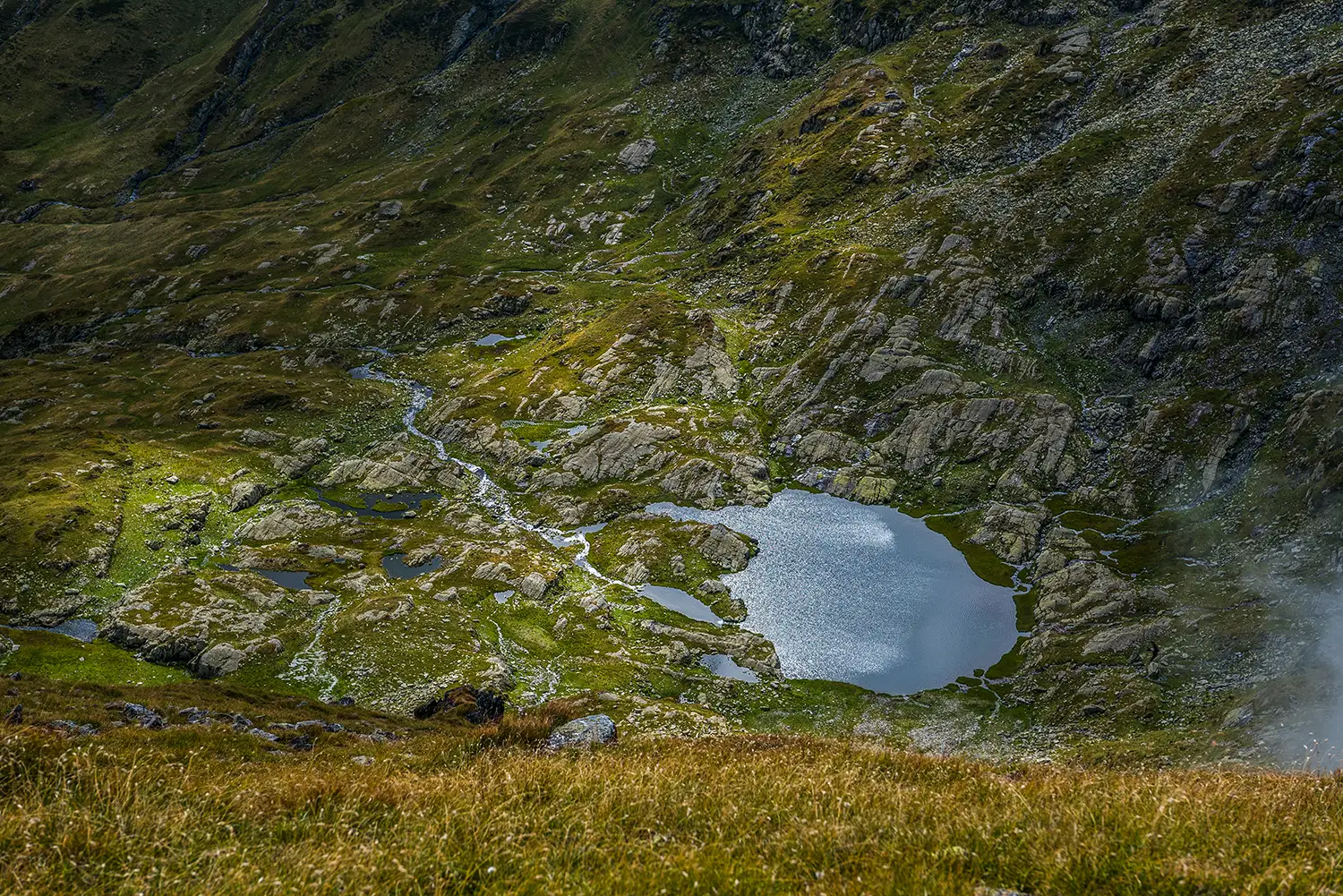 Carpații Meridionali