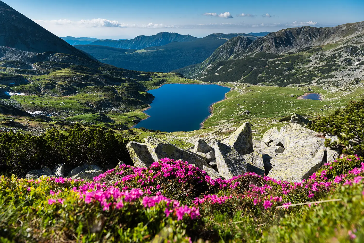 Carpații Meridionali